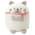 Hapins Kitten Medium Siamese Cat