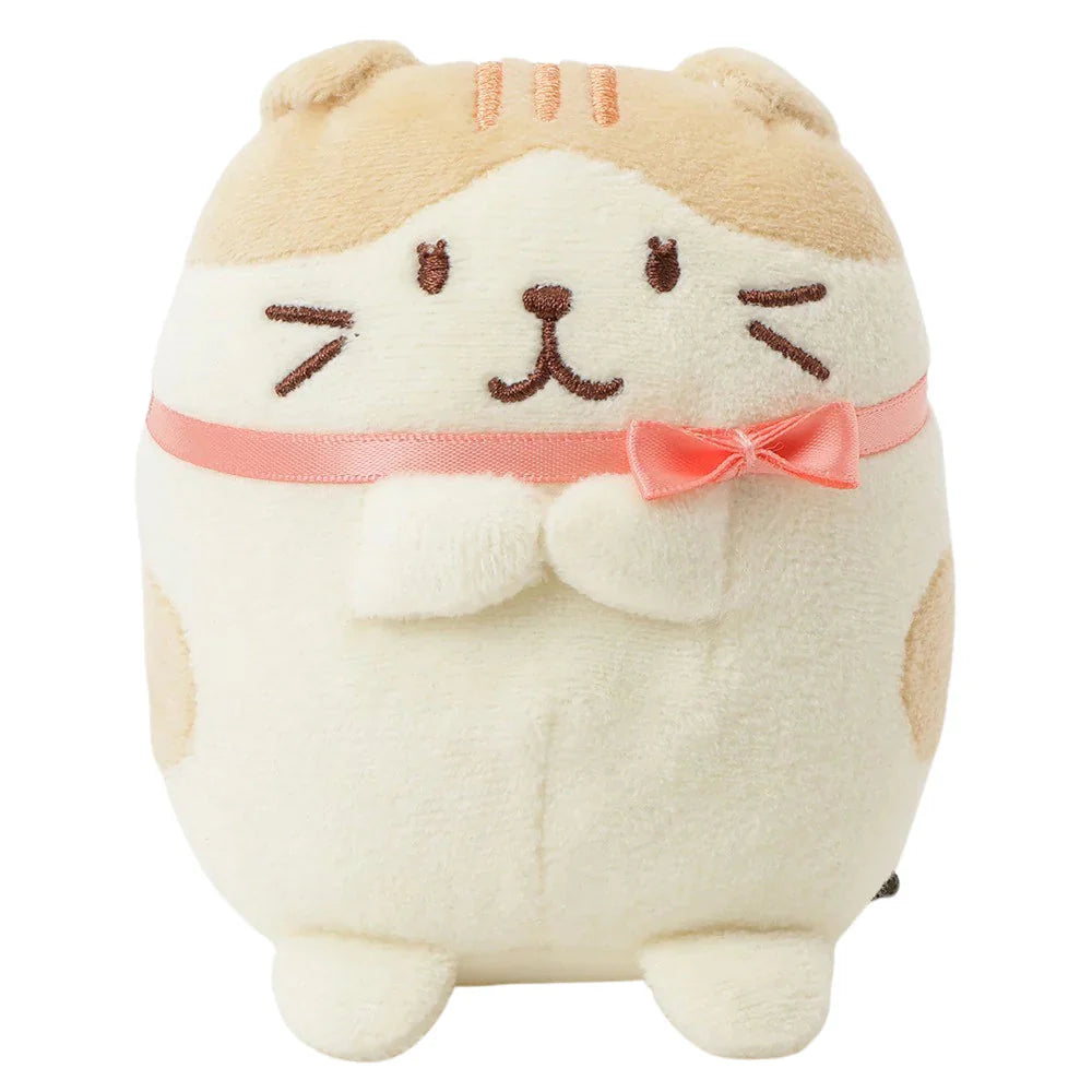 Hapins Kitten Medium Scottish Fold