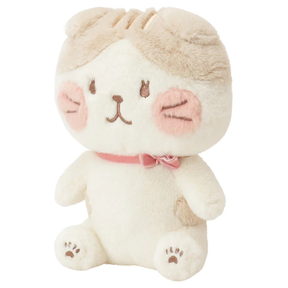 Hapins Blushing Lucky Series Scottish Fold