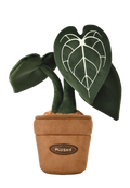 PlushWoods Klein Anthurium Plant Plush With Pot 25cm