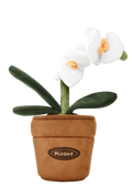 PlushWoods White Orchid Plant Plush With Pot 25cm