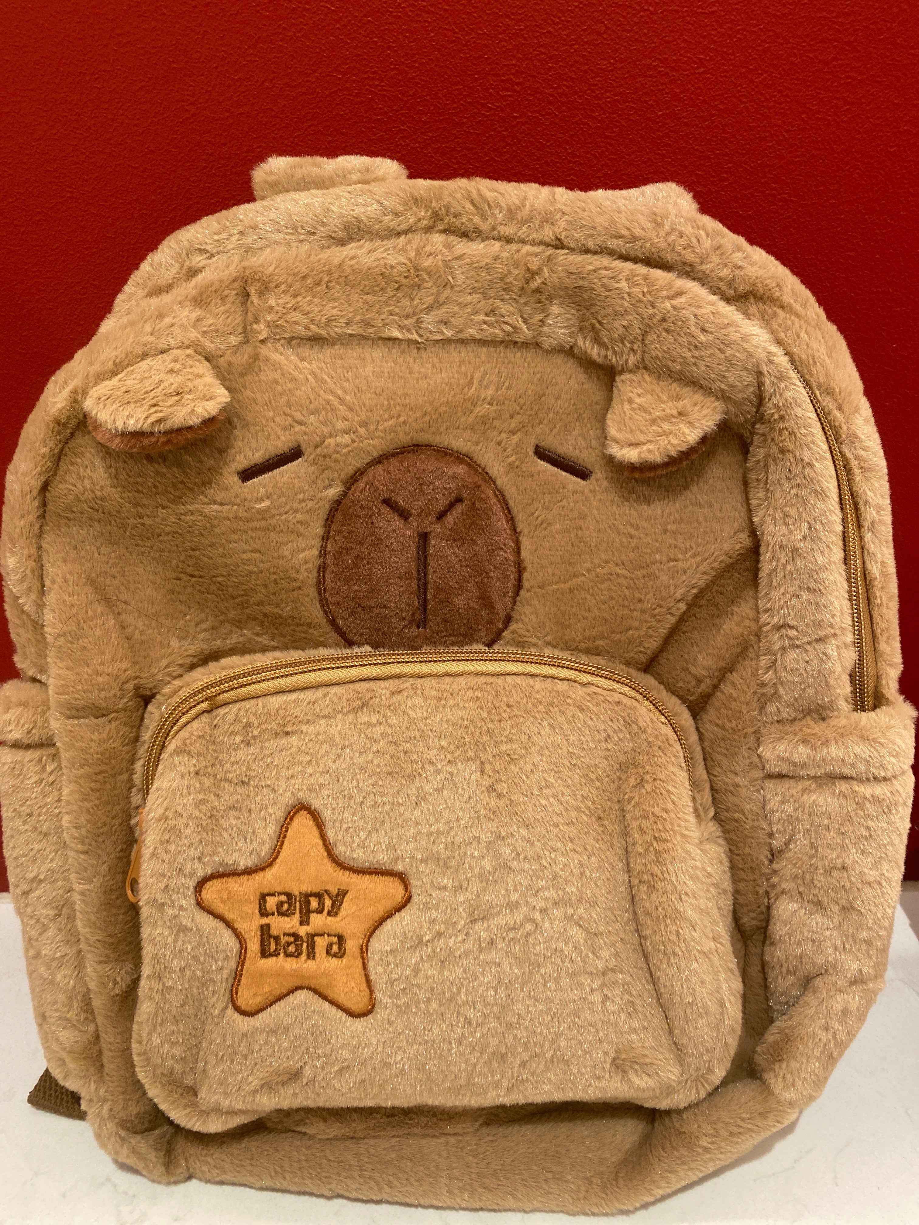 Capybara School Bag