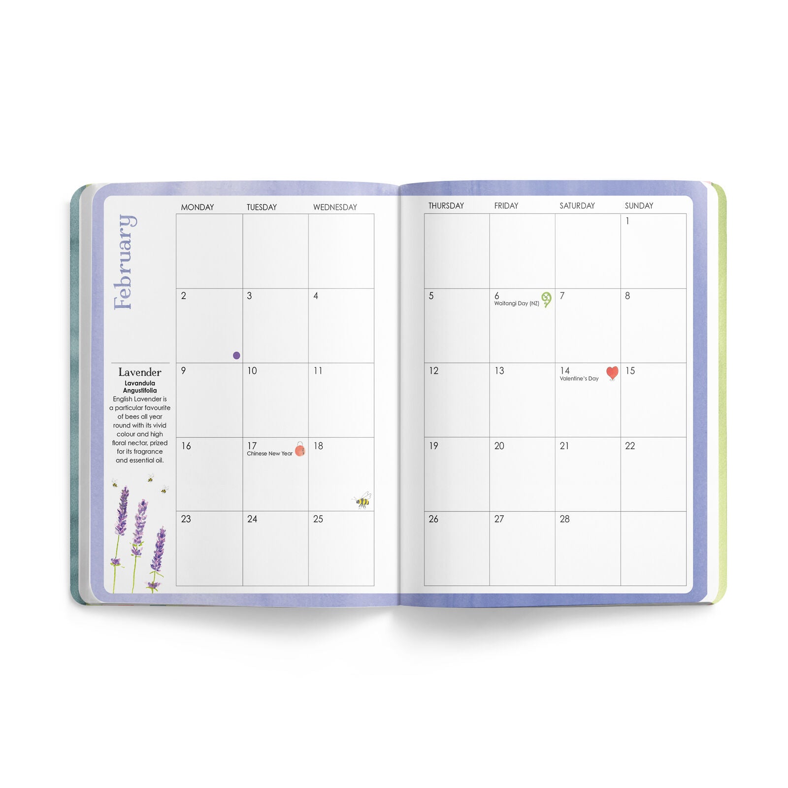 Affirmations - 2026 Bee Diary