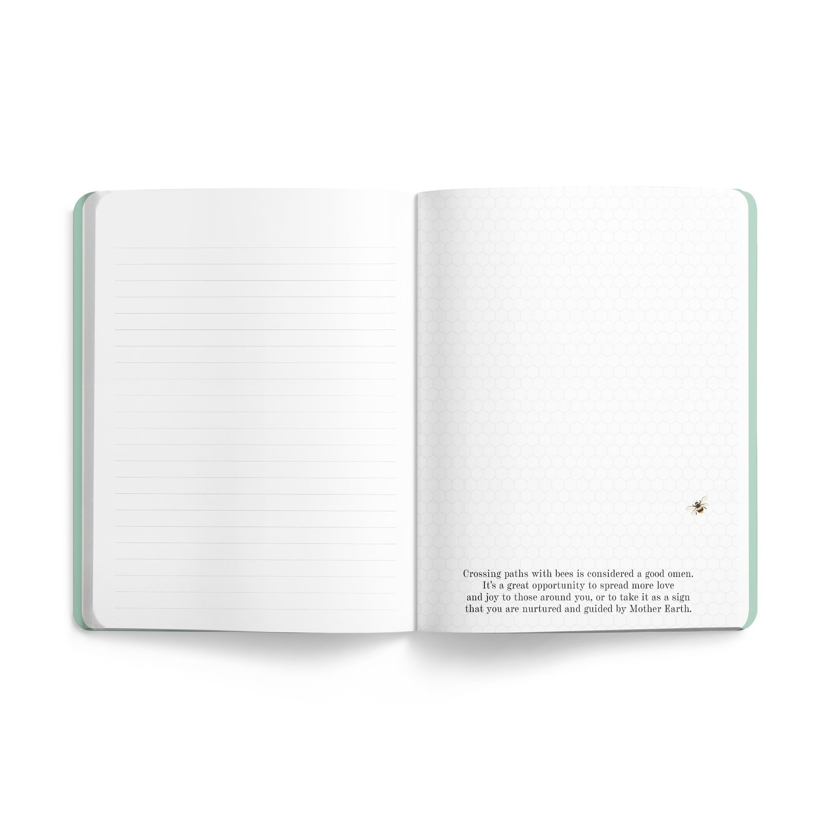 Affirmations 2025 Bee Journal