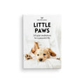 Affirmations - Little Paws - 24 Animal affirmation cards + stand