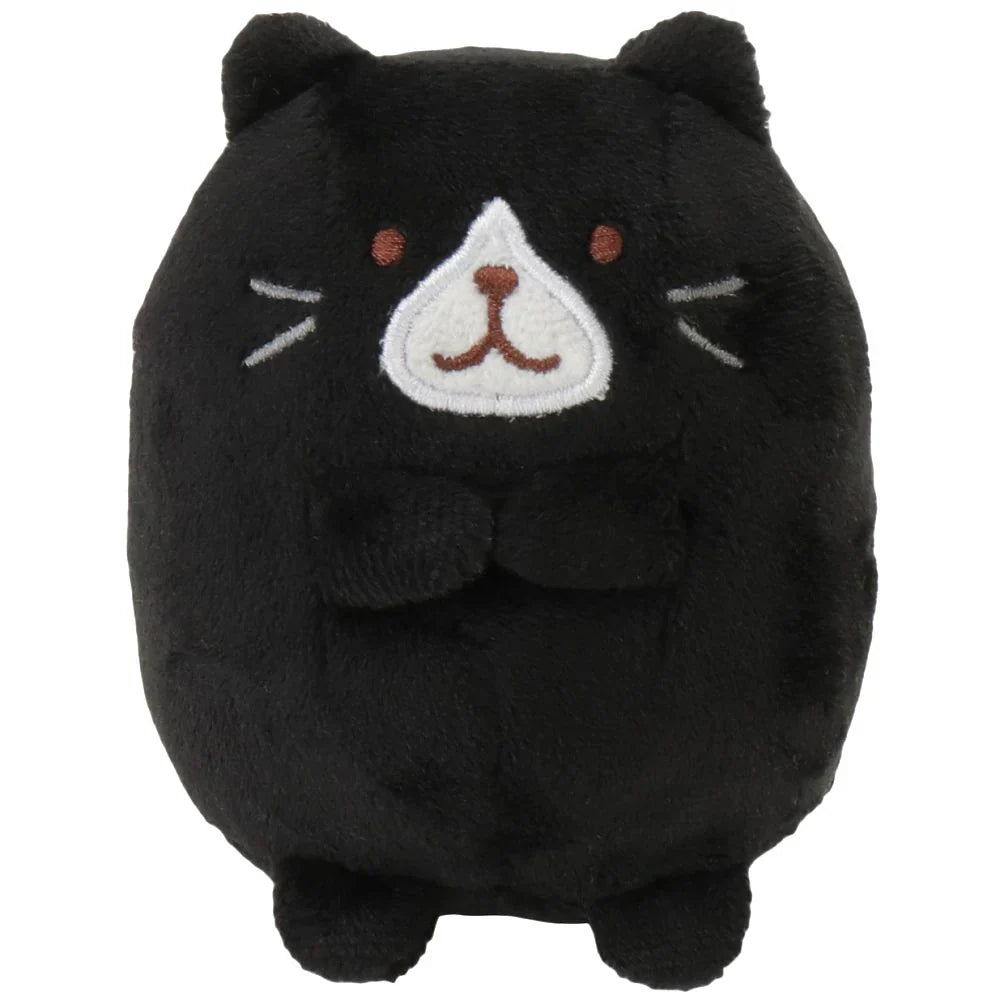 Hapins Kitten Medium Tuxedo Cat