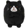 Hapins Kitten Medium Tuxedo Cat