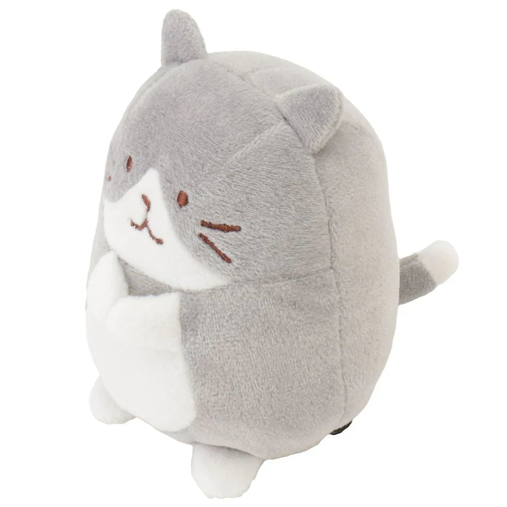 Hapins Kitten Medium Ragdoll Cat