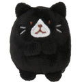 Hapins Kitten Small Tuxedo Cat
