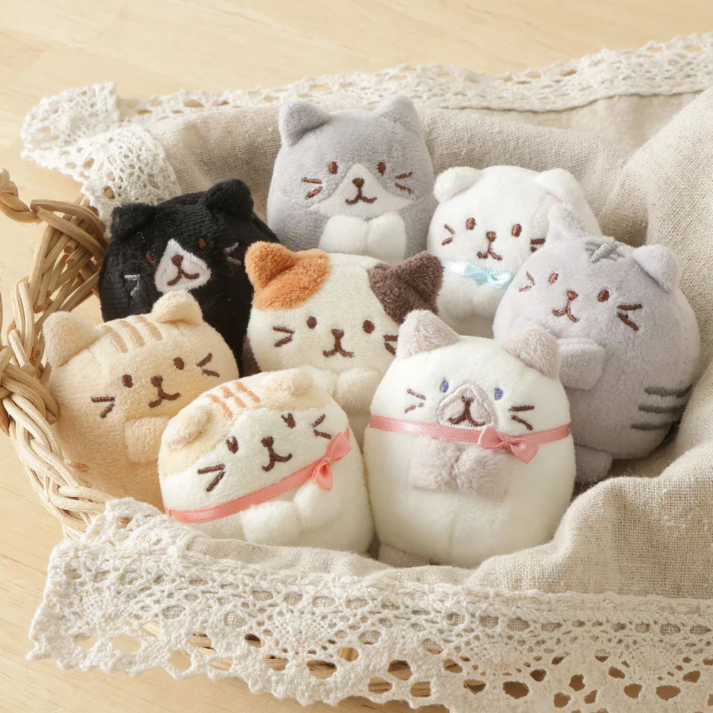 Hapins Kitten Small Persian Cat