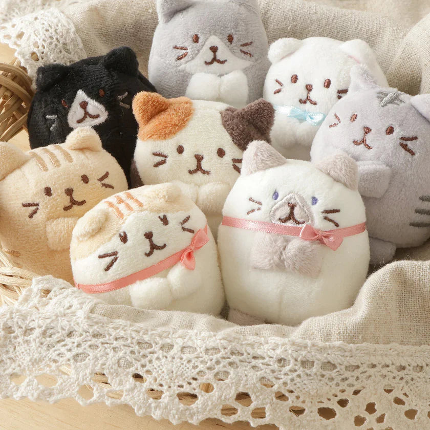 Hapins Kitten Small Ragdoll Cat