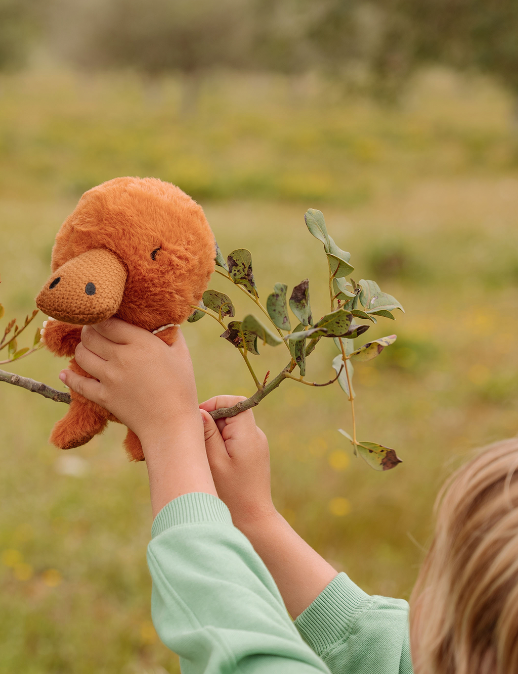 WWF Paddy Platypus - 18 cm
