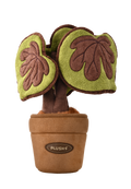PlushWoods Begonia Bella Plant Plush With Pot 25cm