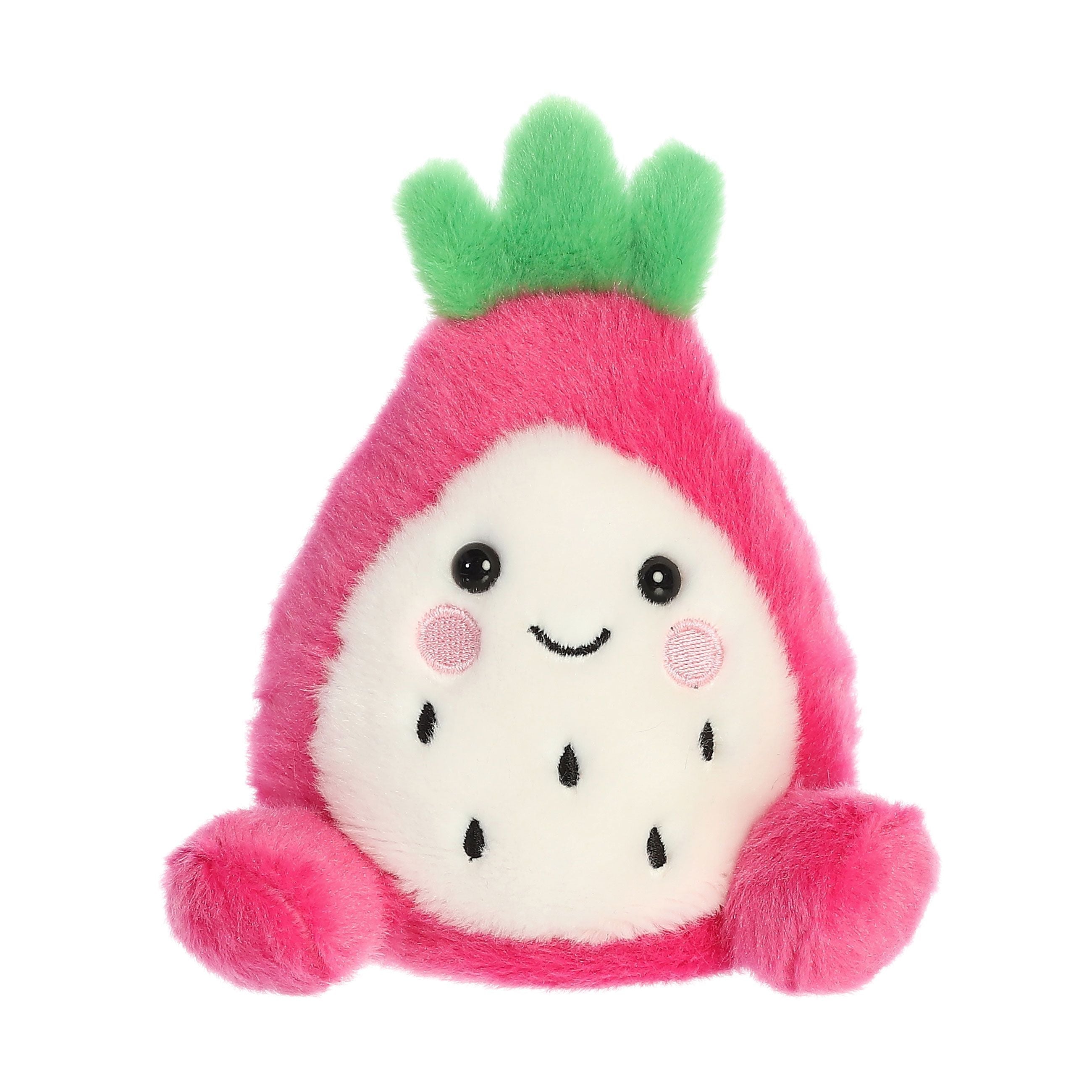 Palm Pal Dragonfruit 13cm