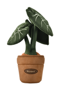 PlushWoods Alocasia Frydek Plant Plush With Pot 25cm