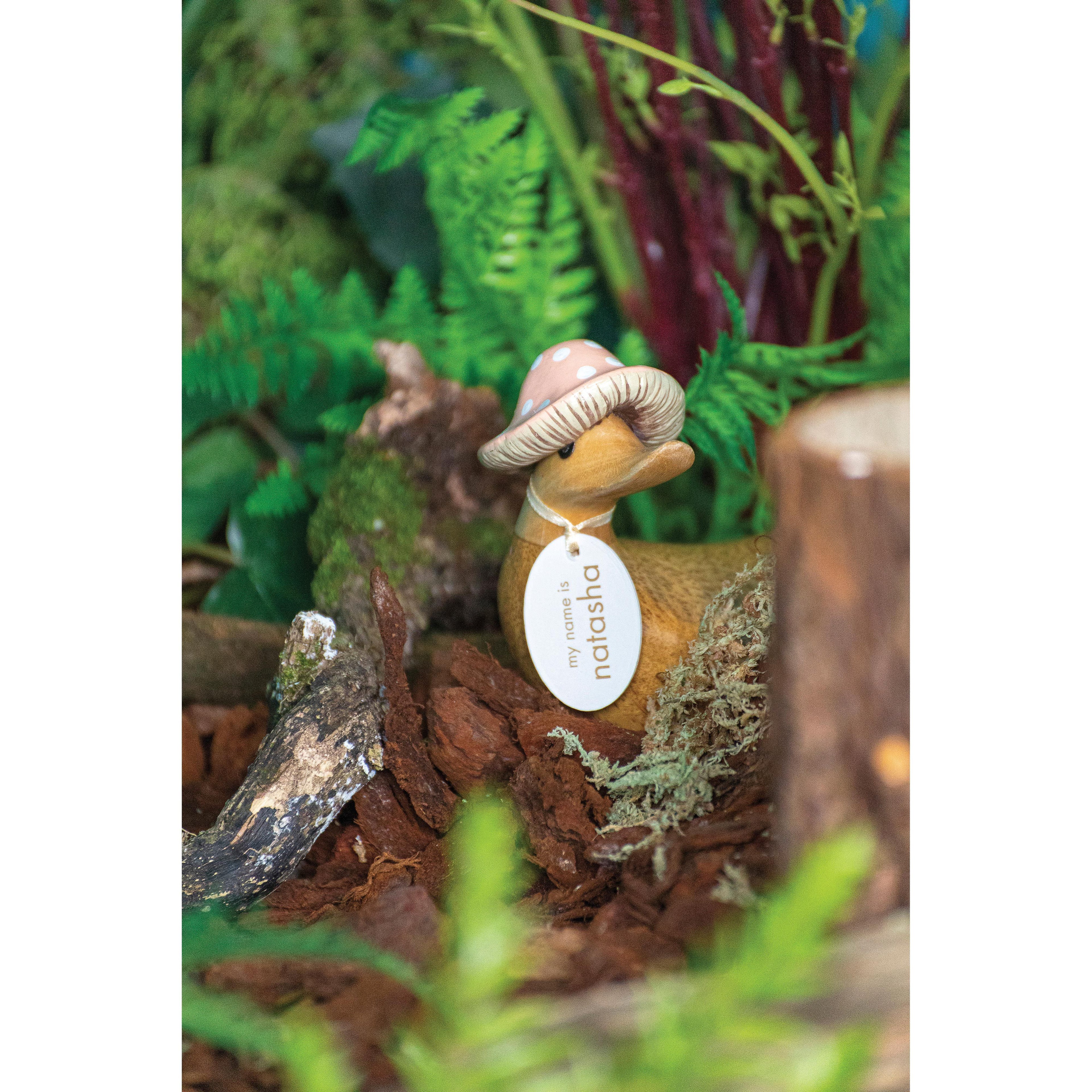 DCUK Toadstool Folk Duckys Assorted (1 pcs)