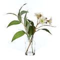 Rogue Eucalyptus Wattle Mix-Specimen Bottle 23x26x33cm
