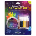 Discovery Zone Rainbow Crystal Growing Kit