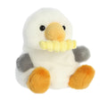Palm Pal Seagull w Chip 13cm
